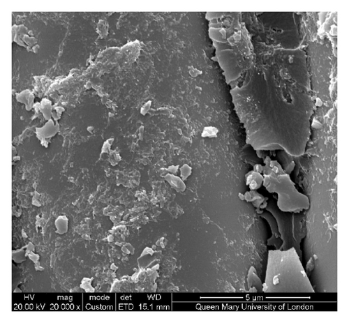 Details are in the caption following the image
