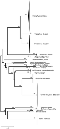 Details are in the caption following the image
