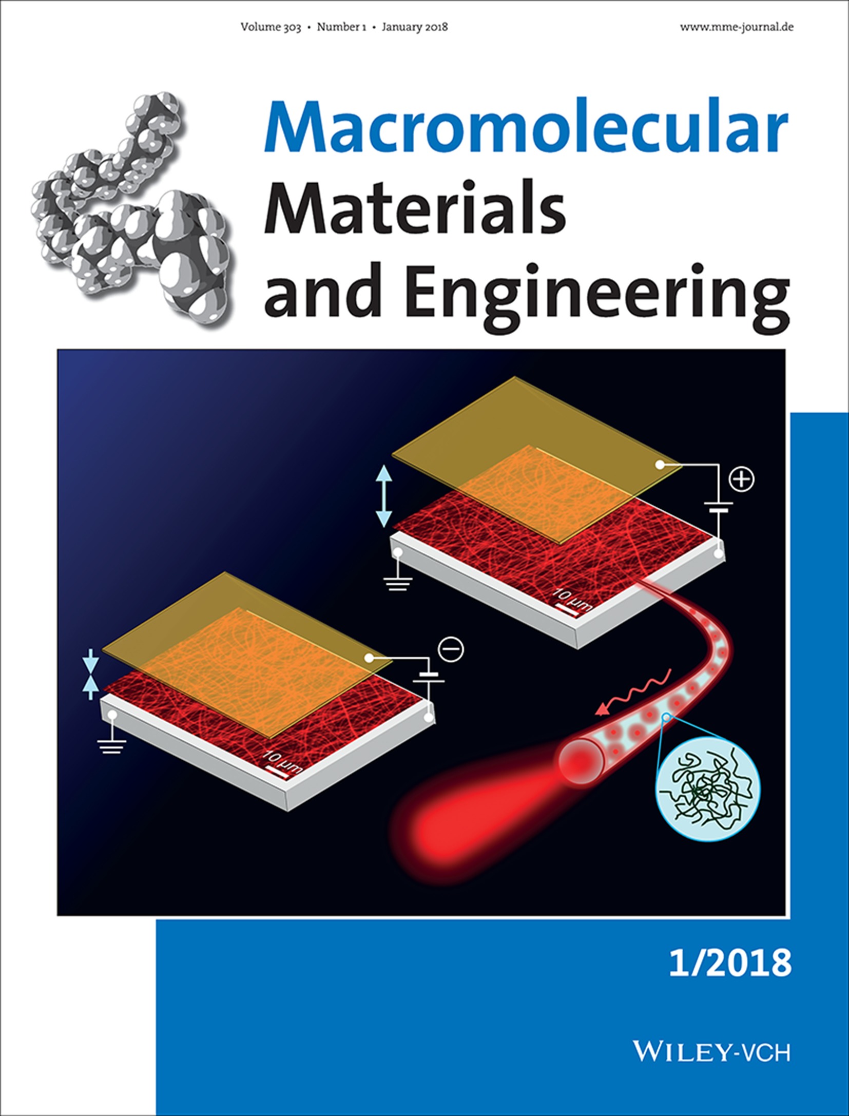 Macromol. Mater. Eng. 1/2018 Volume 303 Issue 1, 2018