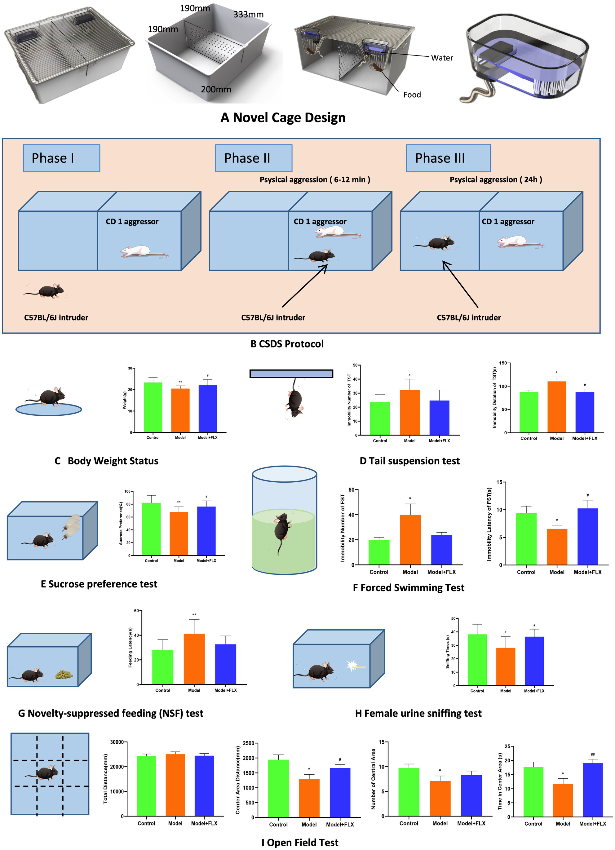 Evaluation of a user-friendly CSDS cage apparatus for studying depressive-like behaviors in rodents