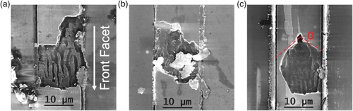 Details are in the caption following the image