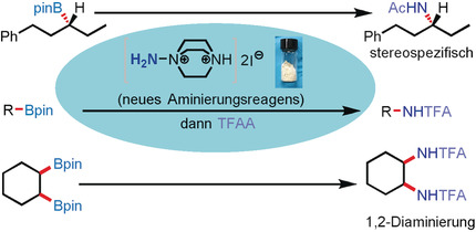 Aminoazanium of DABCO: An Amination Reagent for Alkyl and Aryl Pinacol Boronates