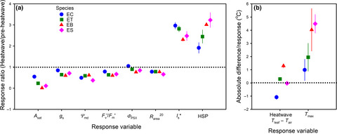 Range size and growth temperature influence Eucalyptus species responses to an experimental heatwave