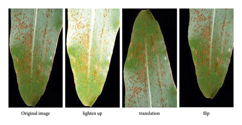 Details are in the caption following the image Details are in the caption following the image