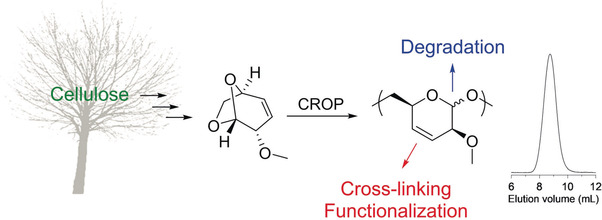 Cellulose-Derived Functional Polyacetal by Cationic Ring-Opening Polymerization of Levoglucosenyl Methyl Ether