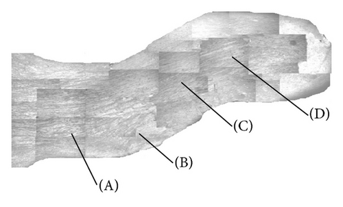 Details are in the caption following the image Details are in the caption following the image