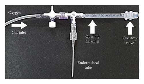 Details are in the caption following the image Details are in the caption following the image