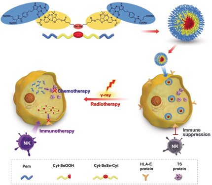 Diselenide–Pemetrexed Assemblies for Combined Cancer Immuno-, Radio-, and Chemotherapies