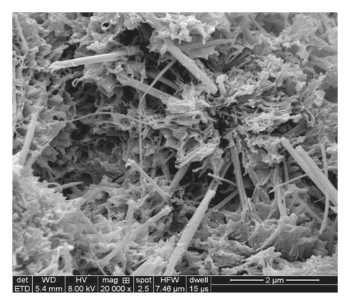 Details are in the caption following the image