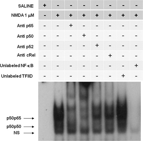 Details are in the caption following the image