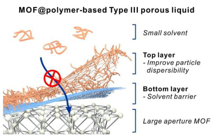 Preserving Mesoporosity in Type III Porous Liquids through Dual-layer Surface Weaving