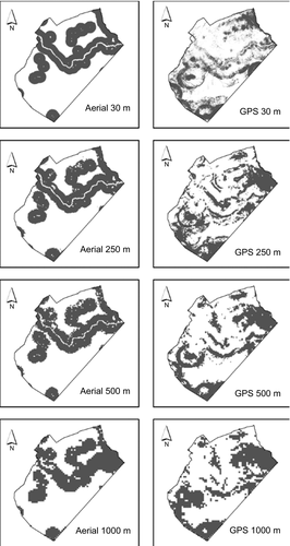 Details are in the caption following the image