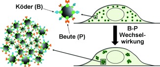 Small-Molecule-Based Nanoassemblies as Inducible Nanoprobes for Monitoring Dynamic Molecular Interactions Inside Live Cells