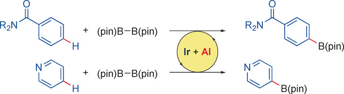 para-Selective C−H Borylation of (Hetero)Arenes by Cooperative Iridium/Aluminum Catalysis