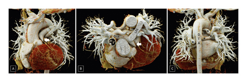Details are in the caption following the image Details are in the caption following the image