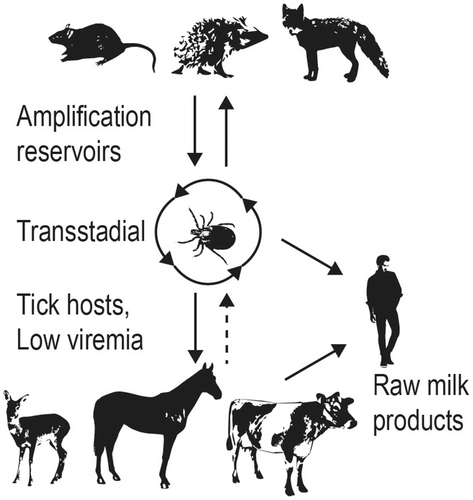 Details are in the caption following the image