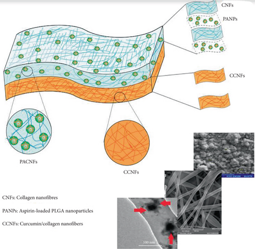 Details are in the caption following the image Details are in the caption following the image