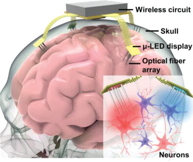 Construction of a Flexible Optogenetic Device for Multisite and Multiregional Optical Stimulation Through Flexible µ-LED Displays on the Cerebral Cortex