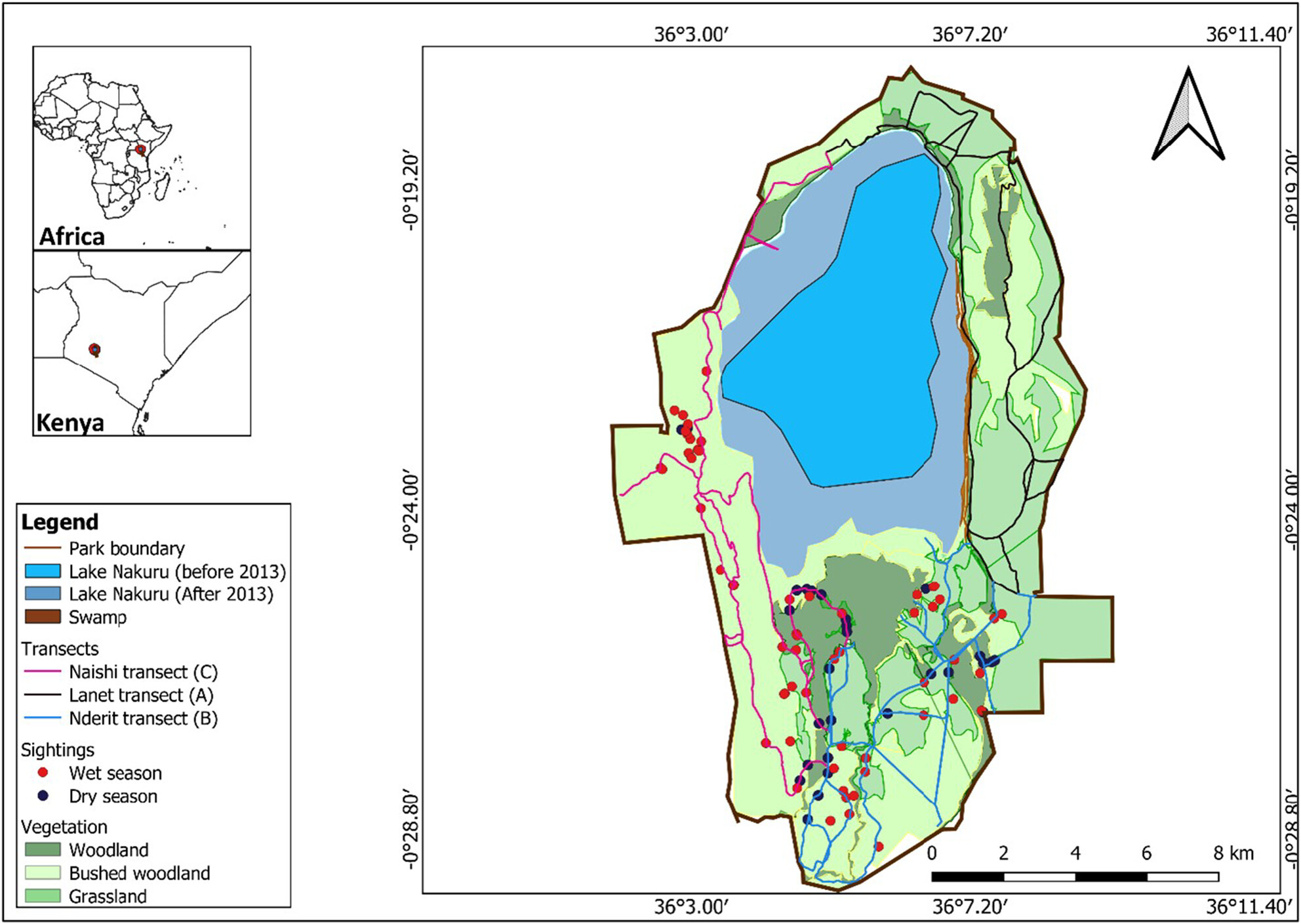 Activity budget and foraging patterns of Nubian giraffe (Giraffa camelopardalis camelopardalis) in Lake Nakuru National Park, Kenya