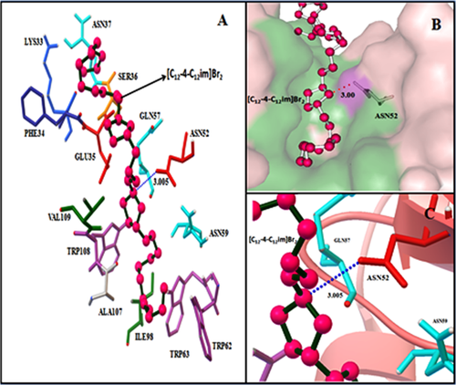 Details are in the caption following the image Details are in the caption following the image
