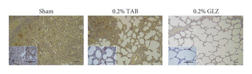 Details are in the caption following the image