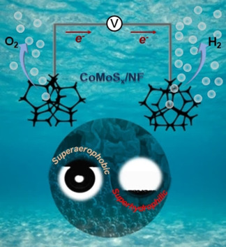 An Engineered Superhydrophilic/Superaerophobic Electrocatalyst Composed of the Supported CoMoSx Chalcogel for Overall Water Splitting