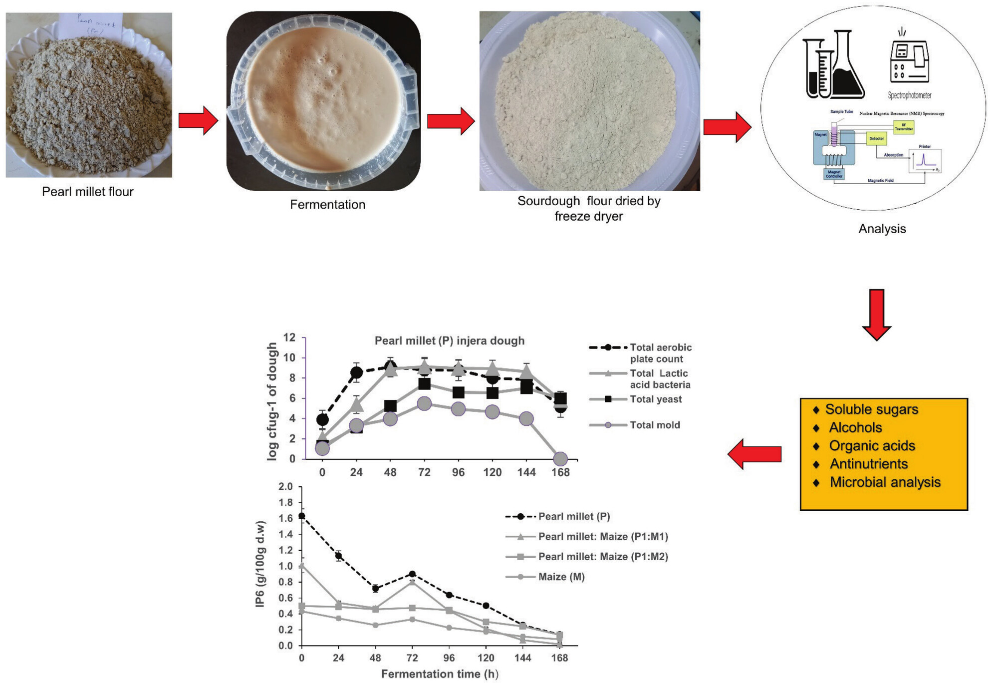 Fermentation Kinetics and Changes in Levels of Antinutrients in Pearl Millet and Pearl Millet-Maize Composite Dough Recipes Used to Prepare Injera