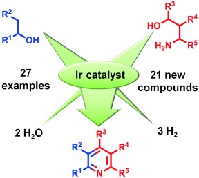 Regioselectively Functionalized Pyridines from Sustainable Resources