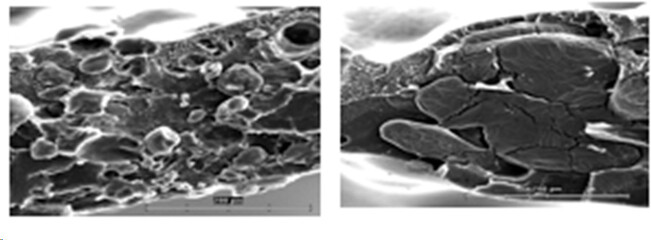 Use of hydroxyethyl cellulose in the preparation of thermoplastic blends with polycaprolactone Verwendung von Hydroxyethylcellulose bei der Herstellung thermoplastischer Mischungen mit Polycaprolacton