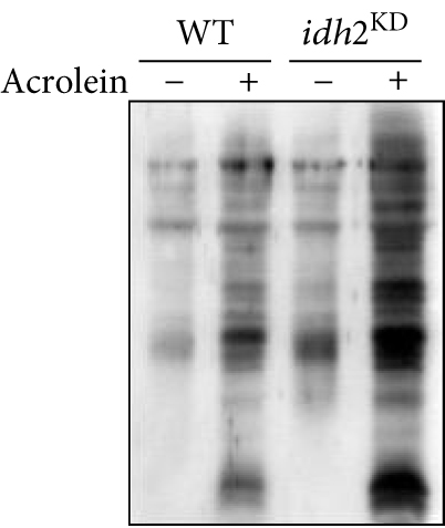 Details are in the caption following the image