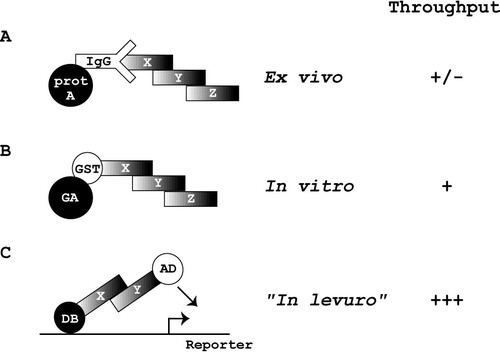 Details are in the caption following the image