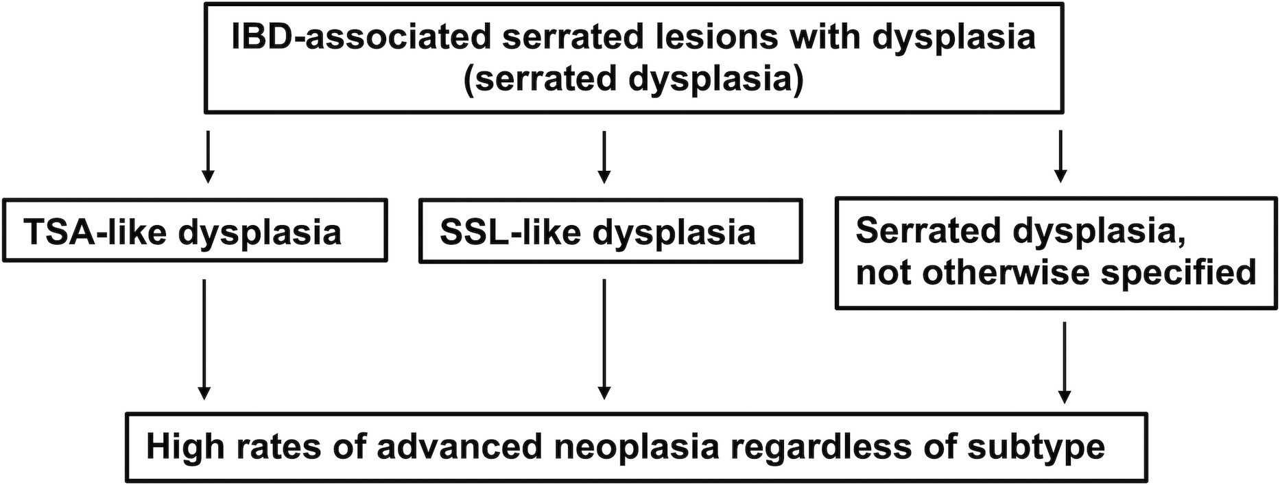Inflammatory bowel disease-associated serrated lesions with dysplasia are frequently associated with advanced neoplasia: supporting a unified classification approach