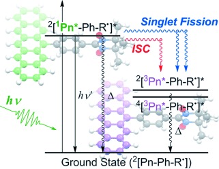 Excited-State Dynamics of Pentacene Derivatives with Stable Radical Substituents