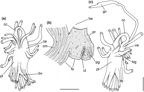 Details are in the caption following the image Details are in the caption following the image