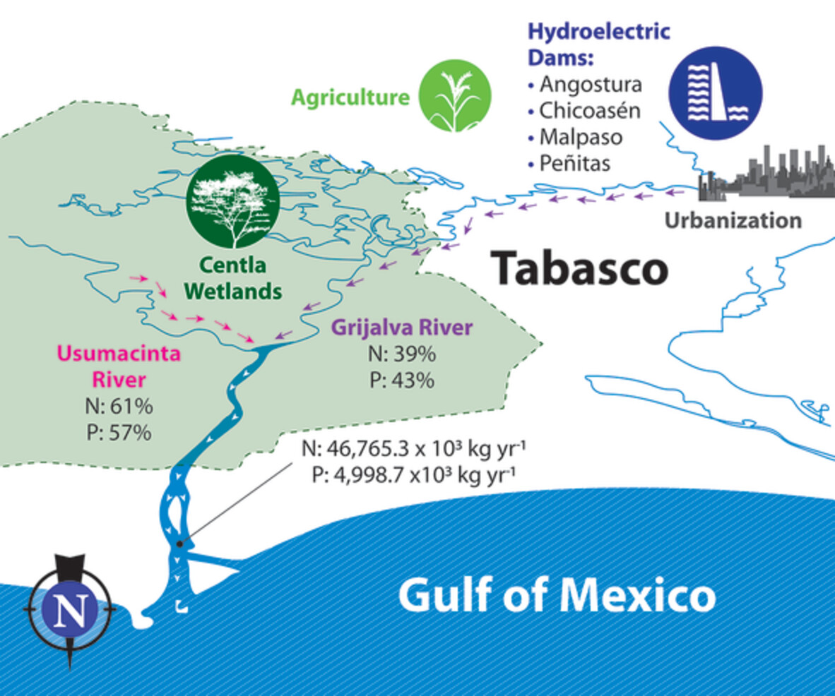Transport of nutrients into the southern Gulf of Mexico by the Grijalva–Usumacinta rivers