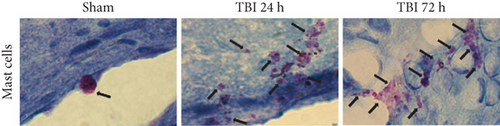 Details are in the caption following the image Details are in the caption following the image