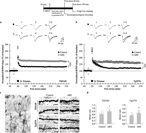 Details are in the caption following the image Details are in the caption following the image