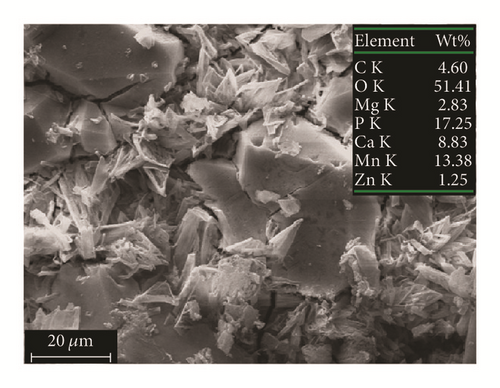 Details are in the caption following the image