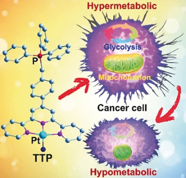 Restraining Cancer Cells by Dual Metabolic Inhibition with a Mitochondrion-Targeted Platinum(II) Complex
