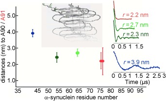 Long-Range Distances in Amyloid Fibrils of α-Synuclein from PELDOR Spectroscopy