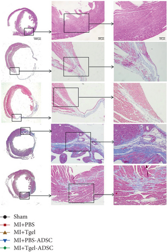 Details are in the caption following the image