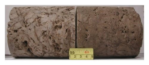 Details are in the caption following the image