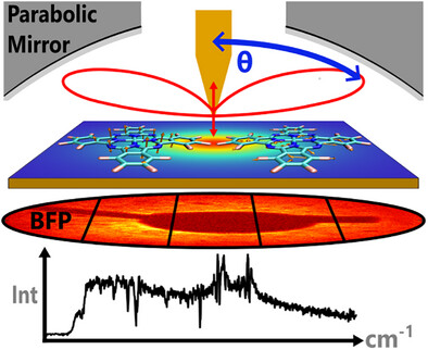 Angularly Resolved Tip-Enhanced Raman Spectroscopy