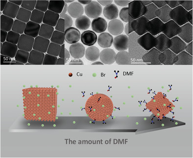 N,N-Dimethylformamide-Assisted Shape Evolution of Highly Uniform and Shape-Pure Colloidal Copper Nanocrystals