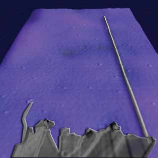 Ultralong Natural Graphene Nanoribbons and Their Electrical Conductivity