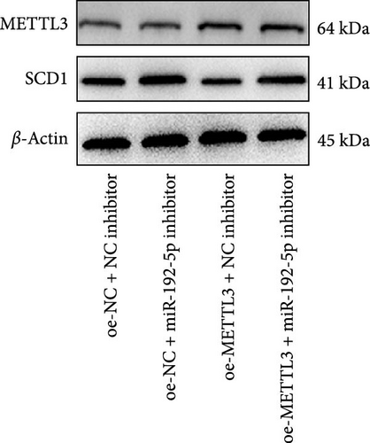 Details are in the caption following the image