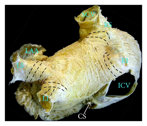 Details are in the caption following the image