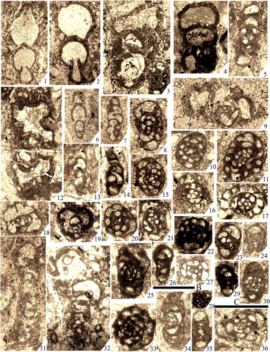 Details are in the caption following the image Details are in the caption following the image