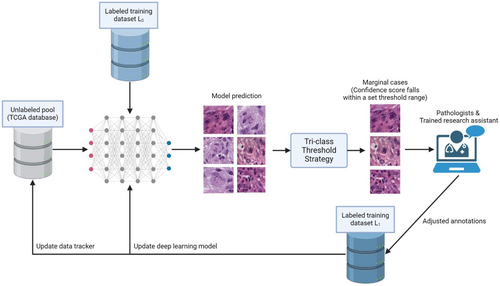 Details are in the caption following the image Details are in the caption following the image