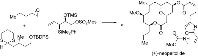 Total Synthesis and Stereochemical Reassignment of (+)-Neopeltolide